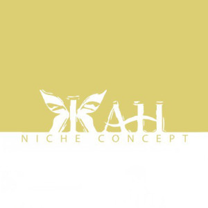 Jan Niche Concept