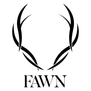 Fawn