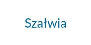 Szałwia