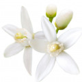 Флёрдоранж