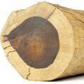 Kenya Rosewood