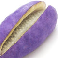 Akebia fruit