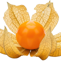 Goldenberry