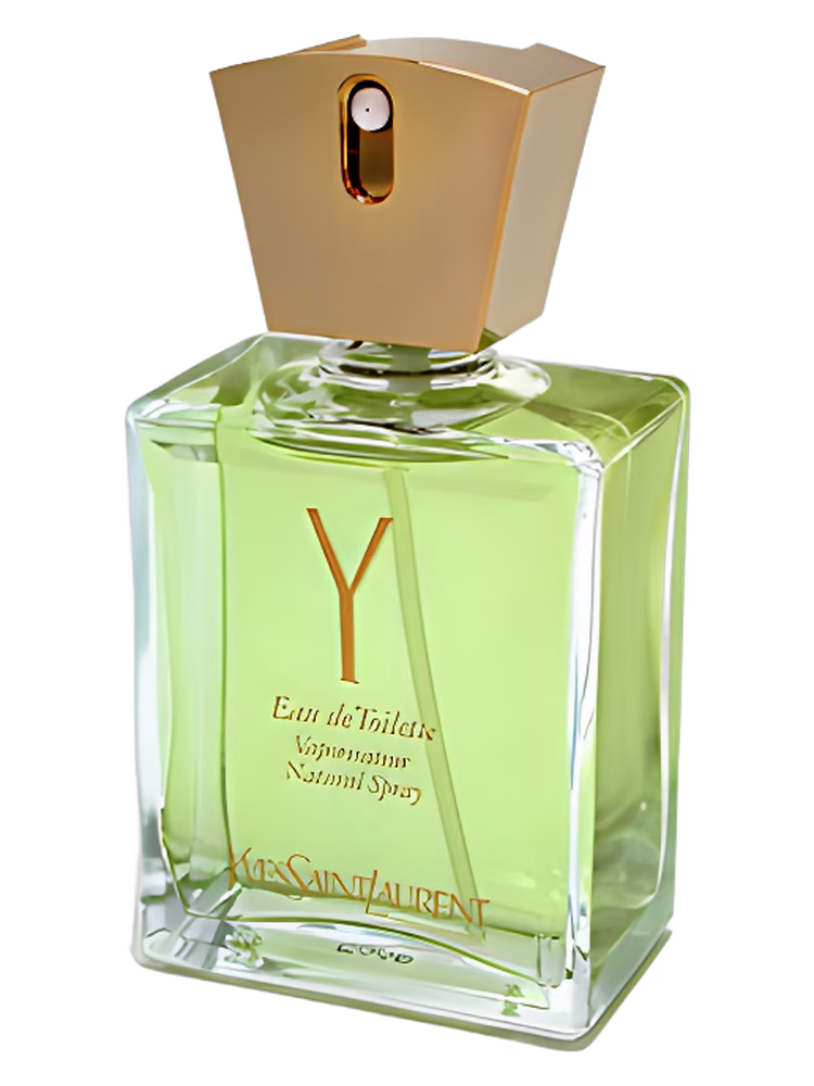 Yves Saint Laurent Y