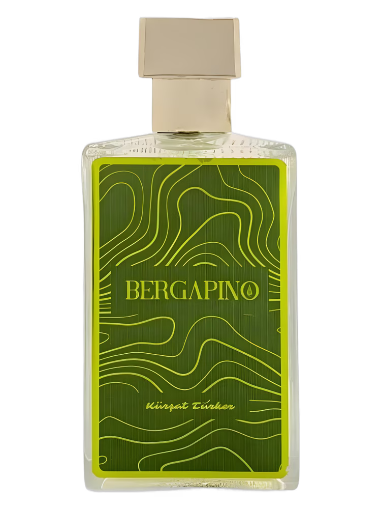 Kürşat Türker Bergapino