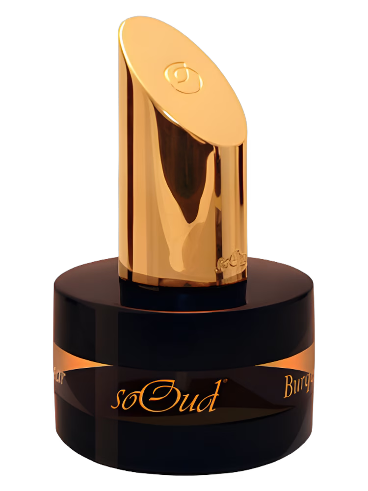SoOud Burqua