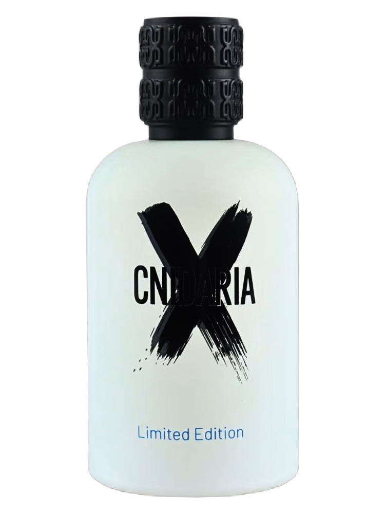 Samam Cnidaria X Limited Edition