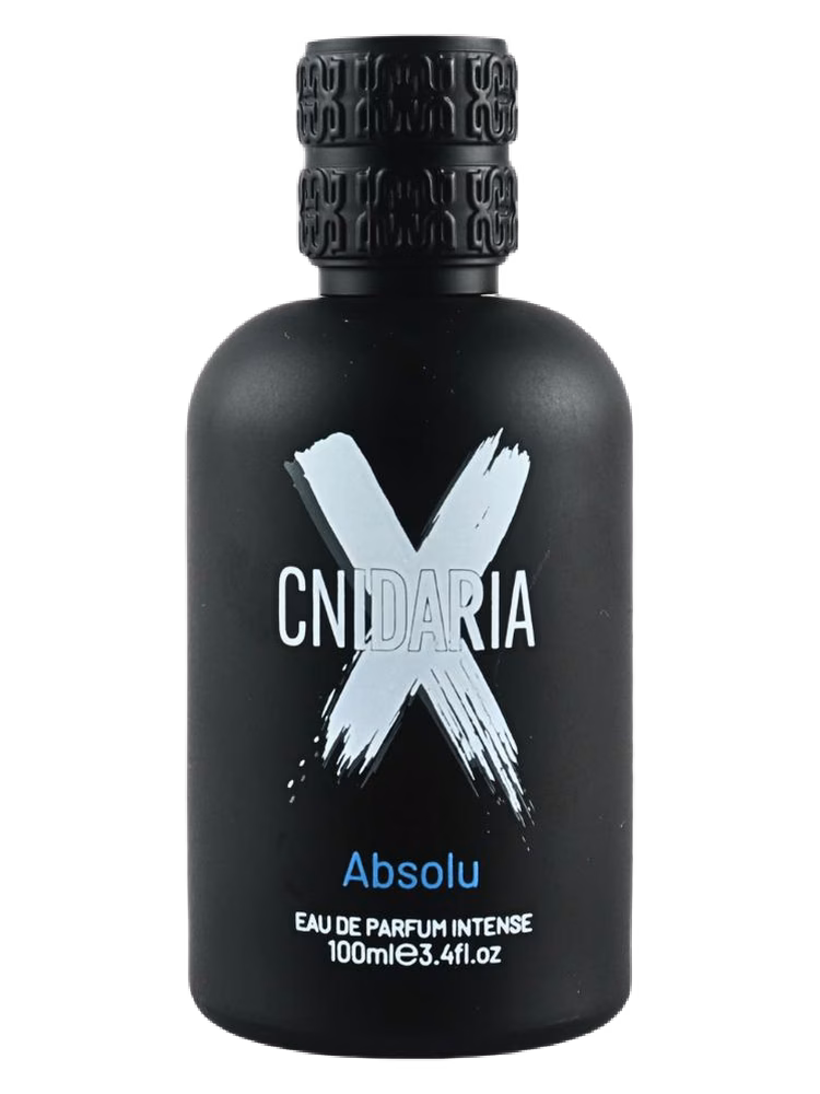 Samam Cnidaria X Absolu