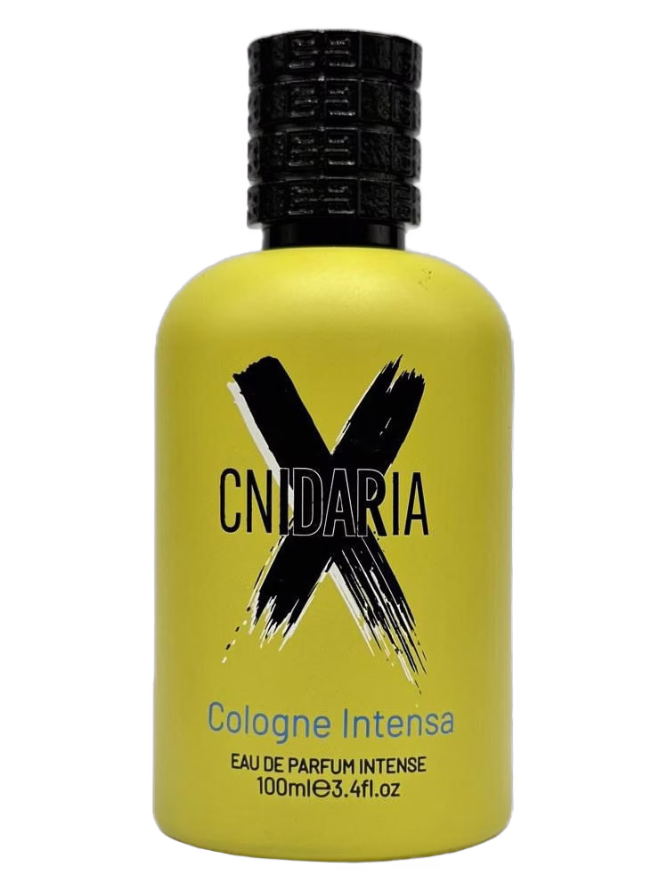 Samam Cnidaria X Cologne Intense