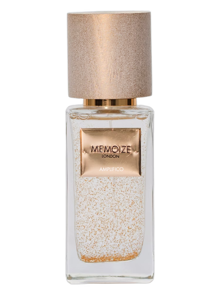 Memoize London Amplifico