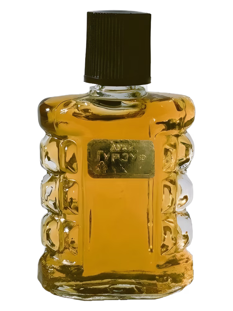 Crimean rose – Крымская роза Гурзуф
