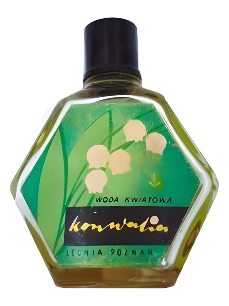 Pollena Lechia Konwalia