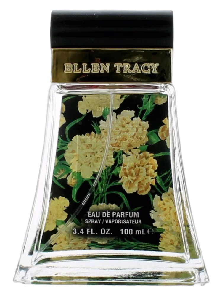 Ellen Tracy Inspiring