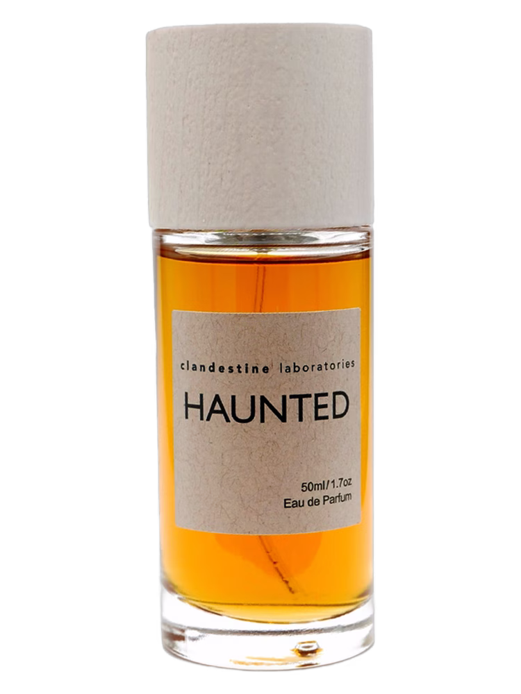 Clandestine Laboratories Haunted