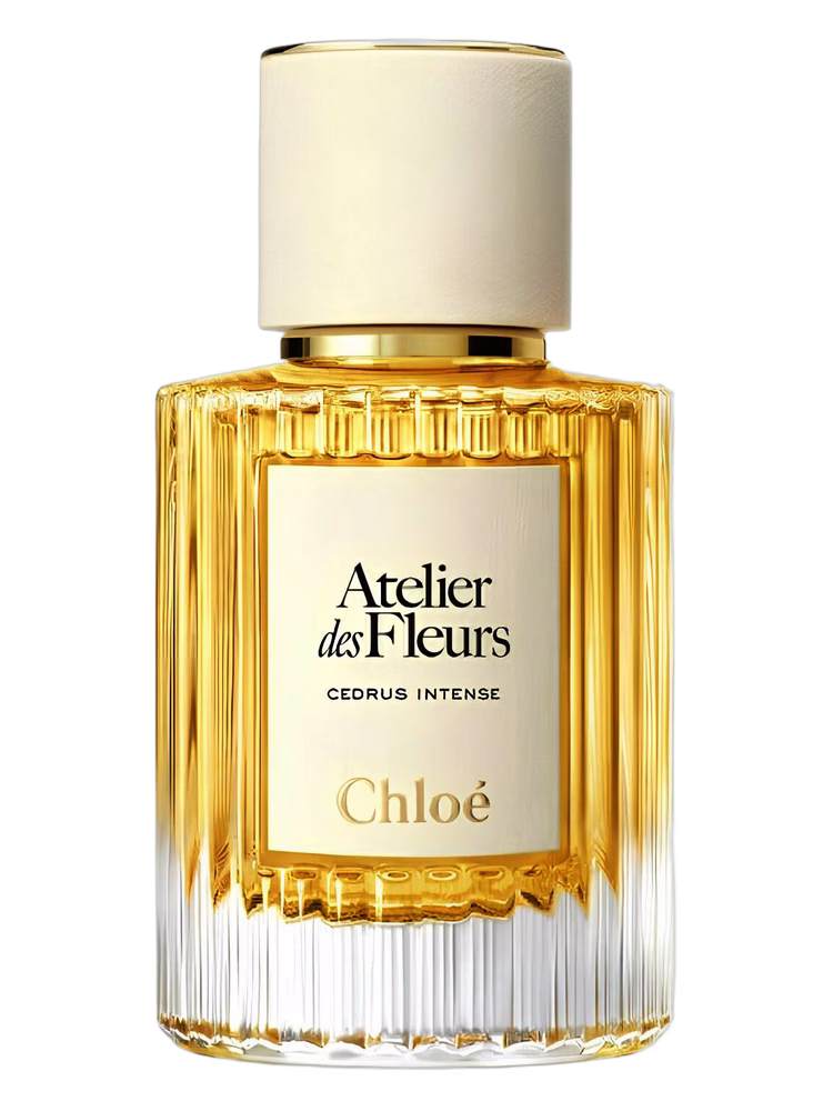 Chloé Cedrus Intense