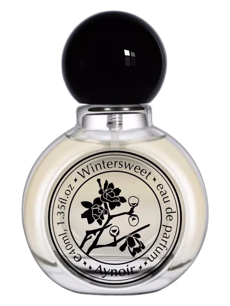 Aynoir 安喏 Wintersweet 腊梅