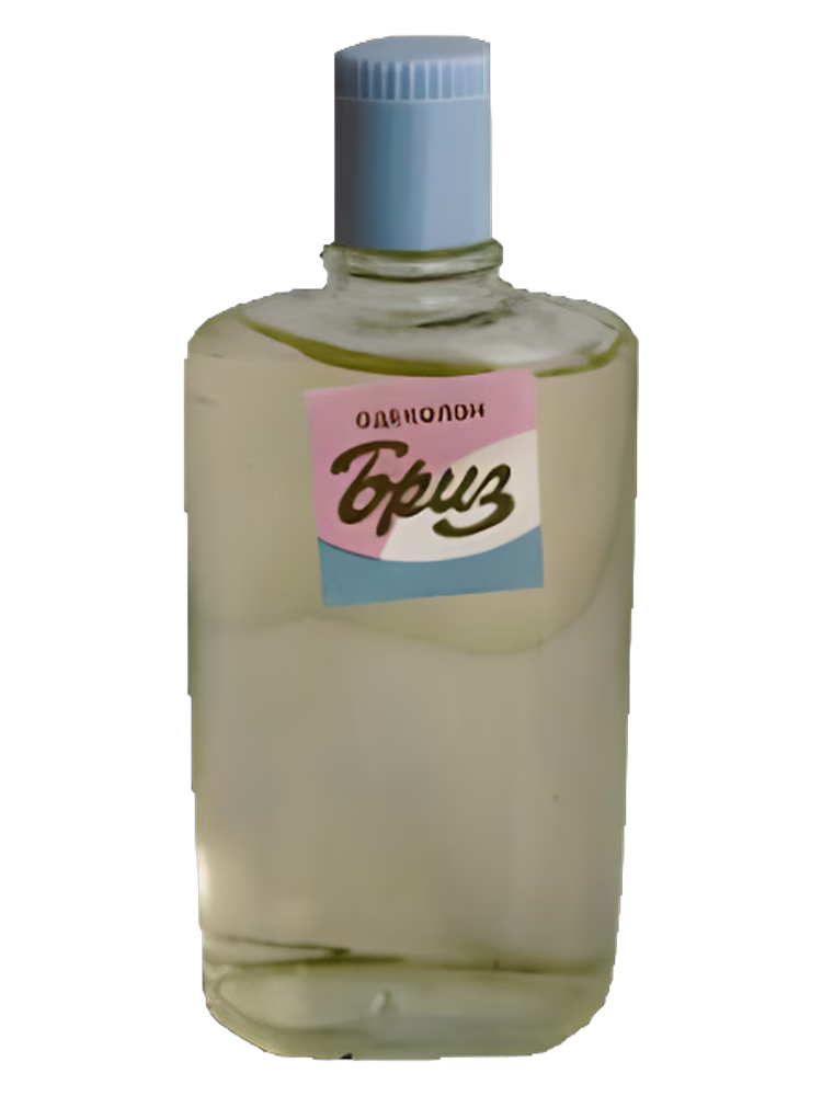 Сувенир (Краснодар) Бриз (Breeze)