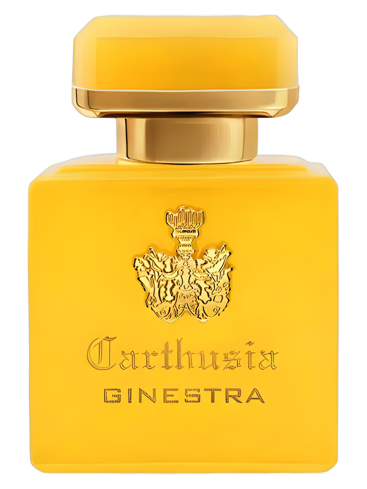 Carthusia Intenso di Ginestra