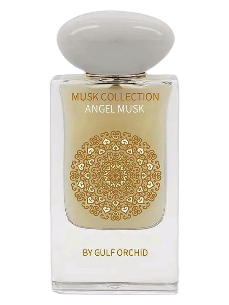 Gulf Orchid Angel Musk