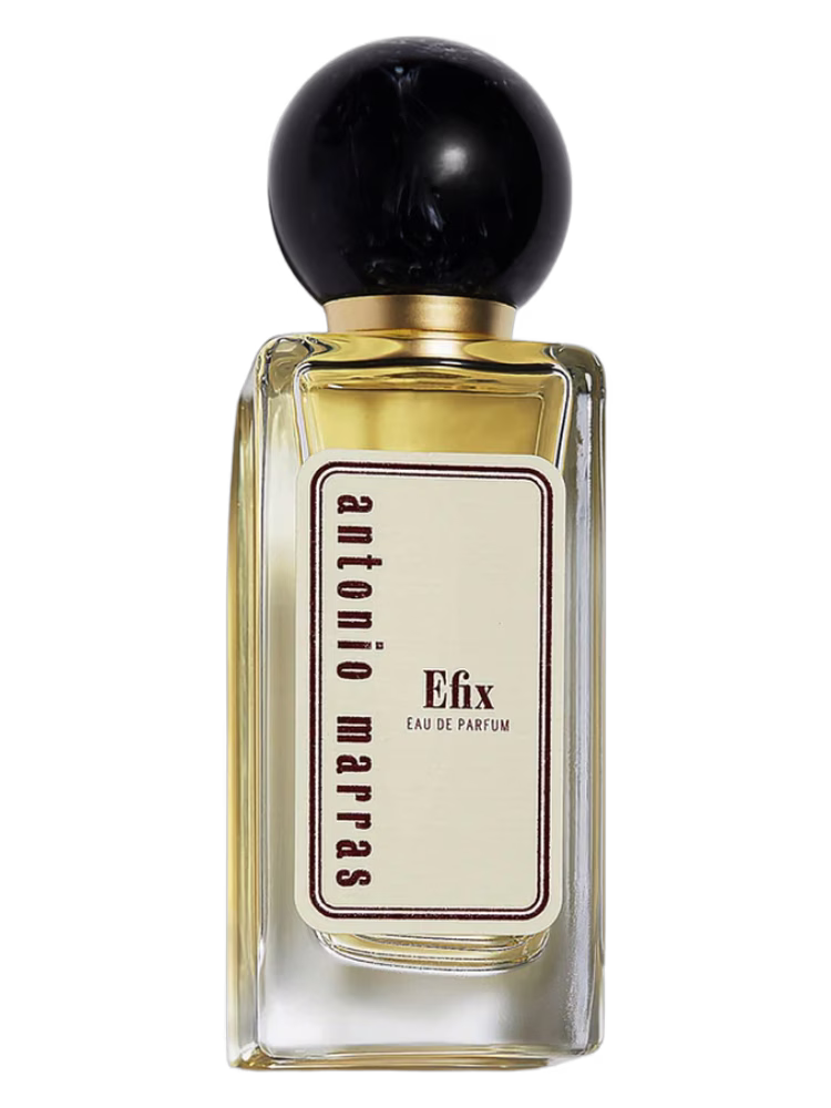 Antonio Marras Efix
