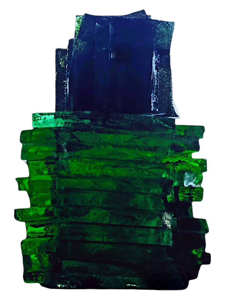 House of Atropa Emerald Herb