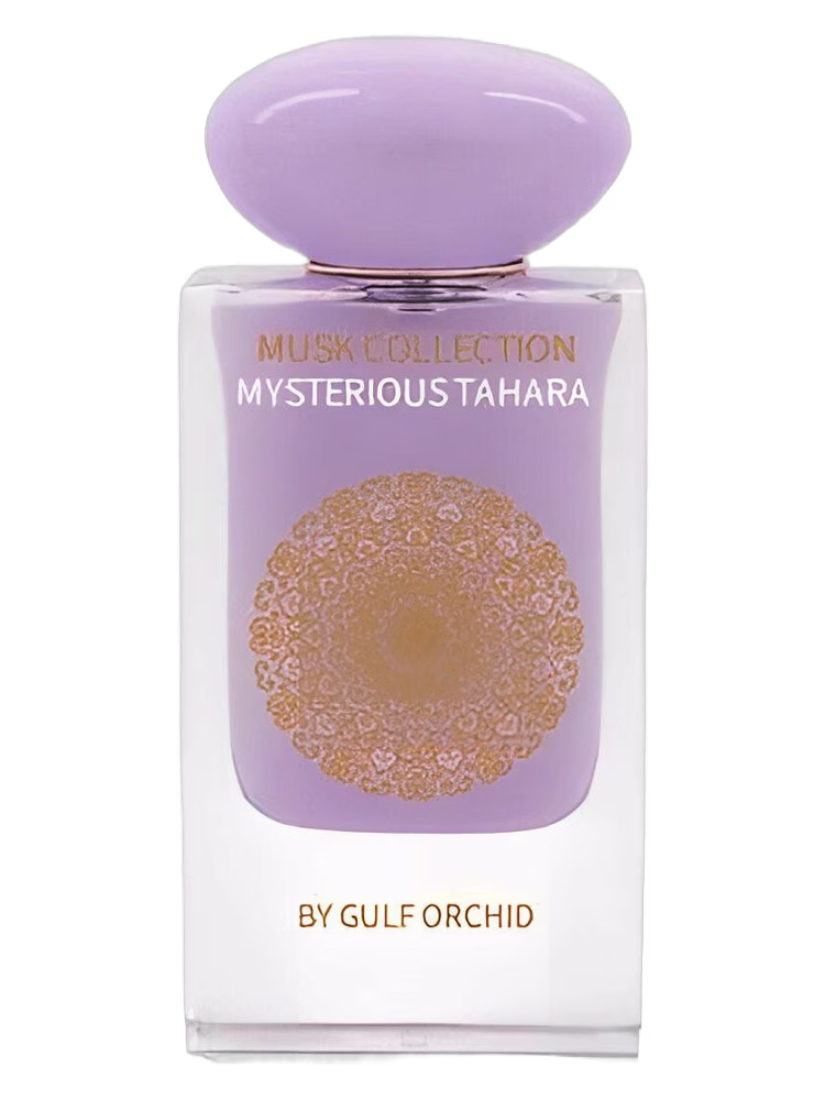 Gulf Orchid Mysterious Tahara