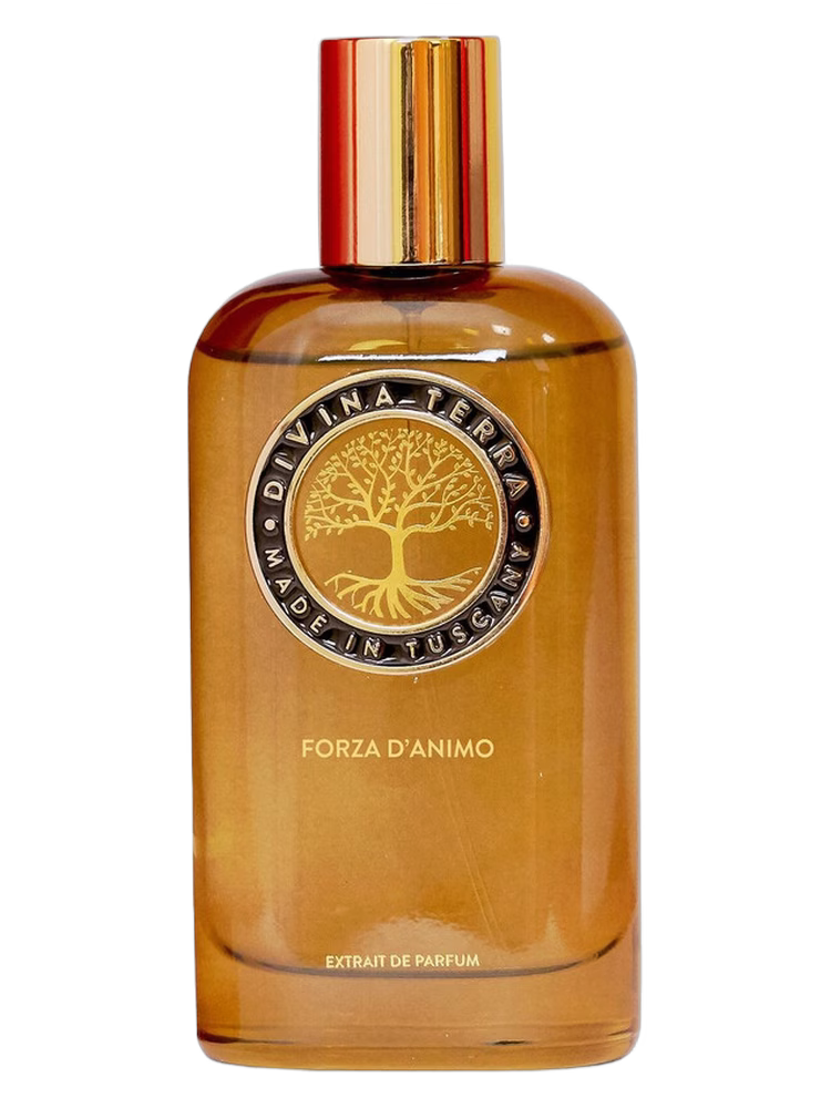 DiVina Terra Forza d'Animo