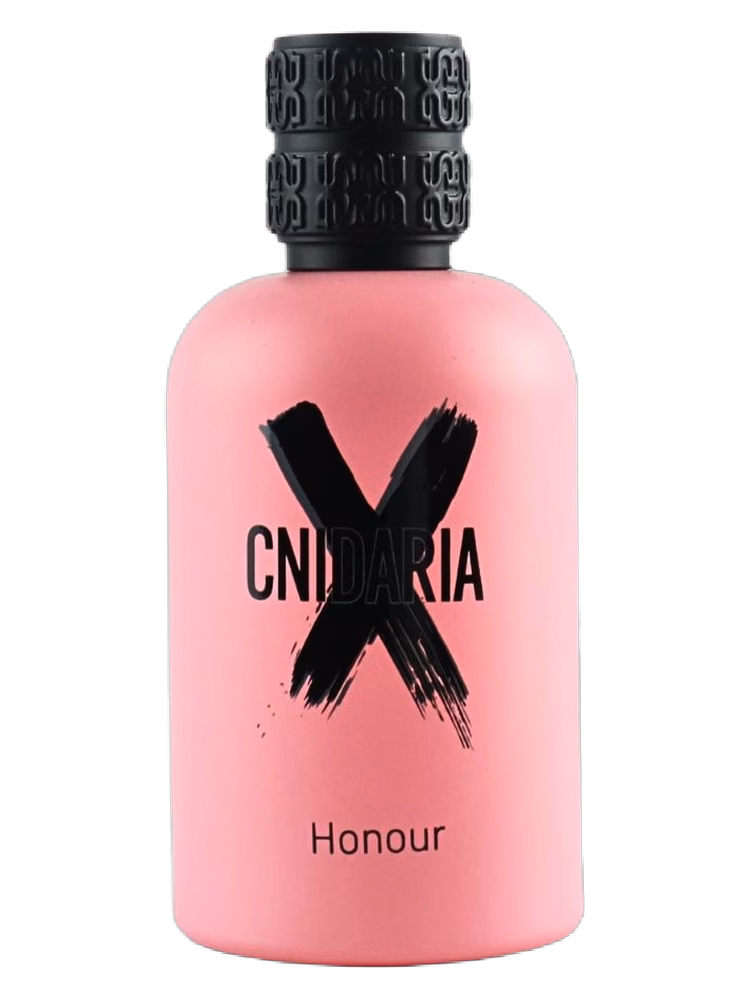 Samam Cnidaria X Honour