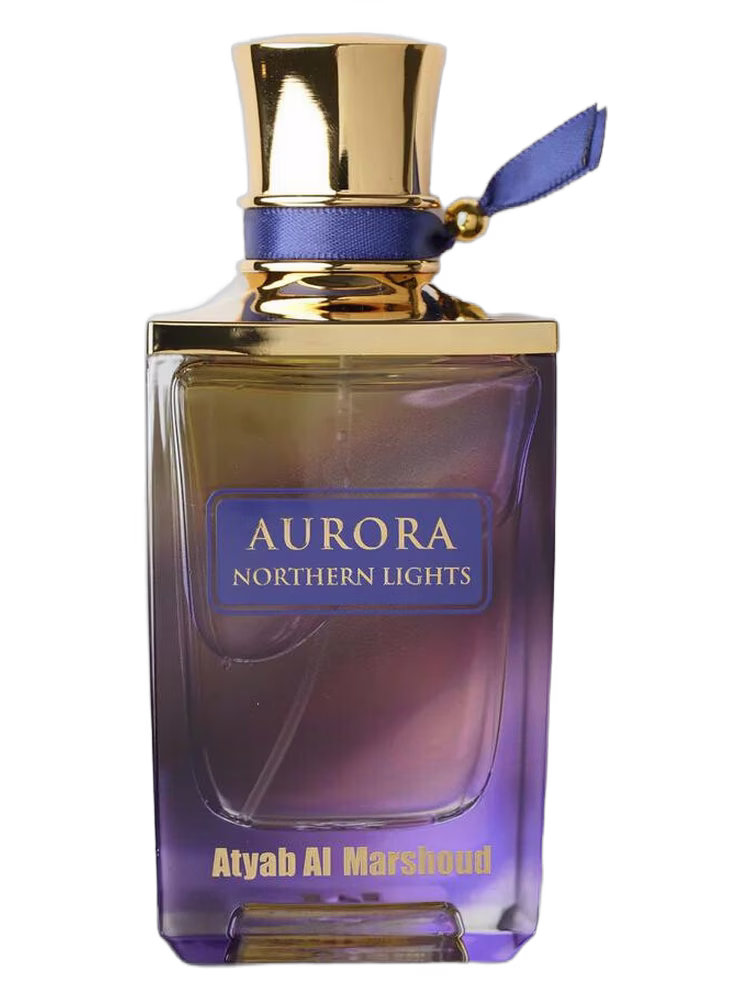 Atyab Al Marshoud Aurora Northern Lights