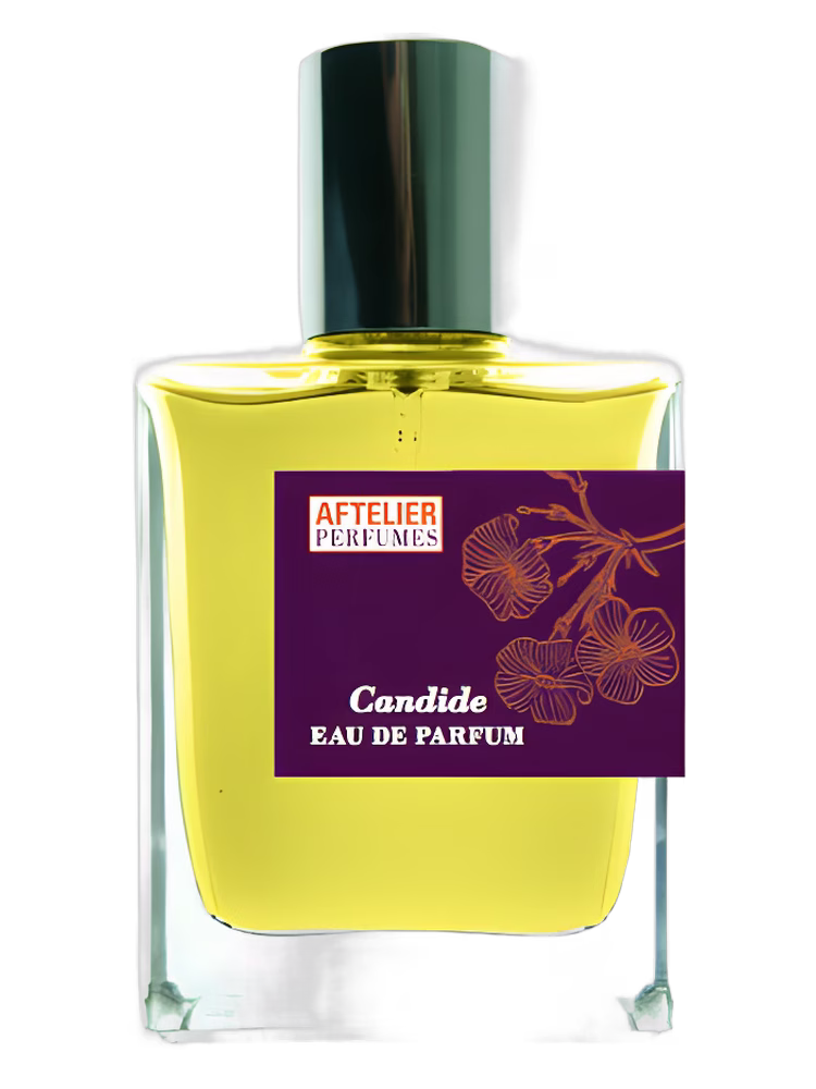 Aftelier Candide