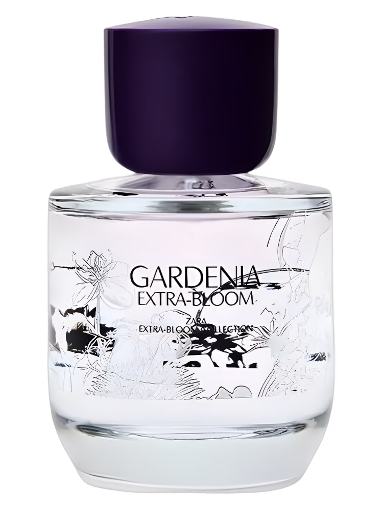 Zara Gardenia Extra-Bloom