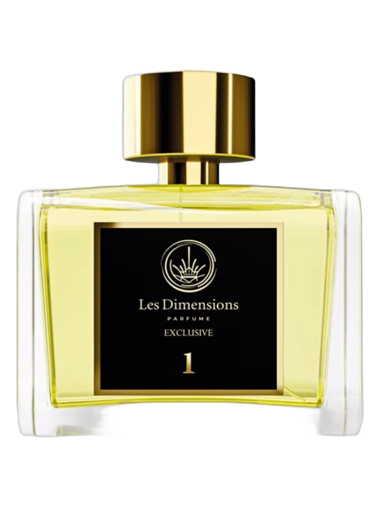 Les Dimensions Dimension 1 - Succès