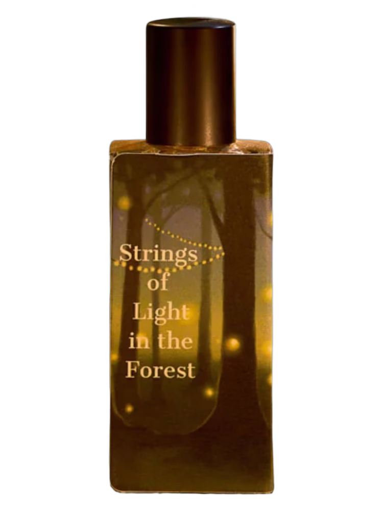 Sorce Strings of Light in the Forest