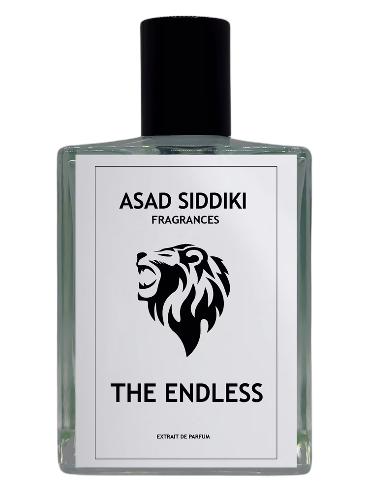 Asad Siddiki The Endless