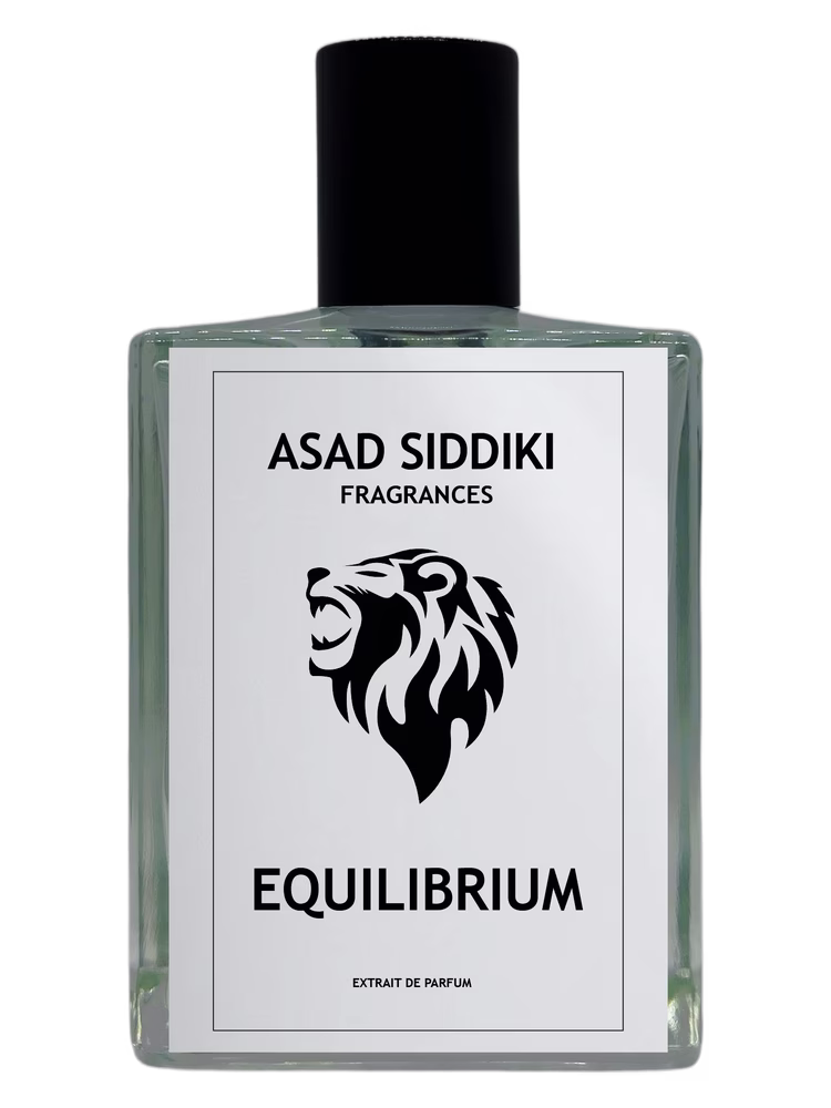 Asad Siddiki Equilibrium