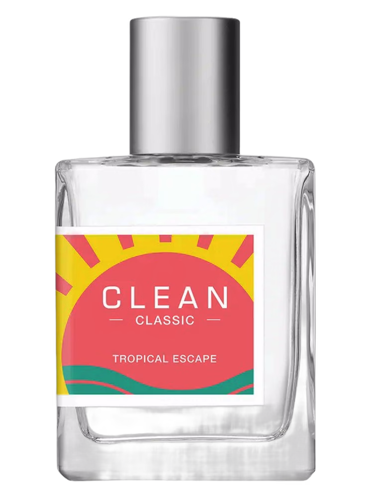 Clean Tropical Escape
