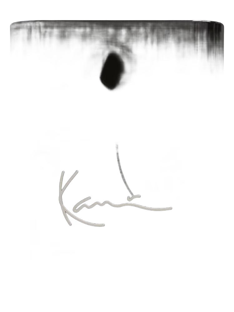 Karl Kani New York City Goals