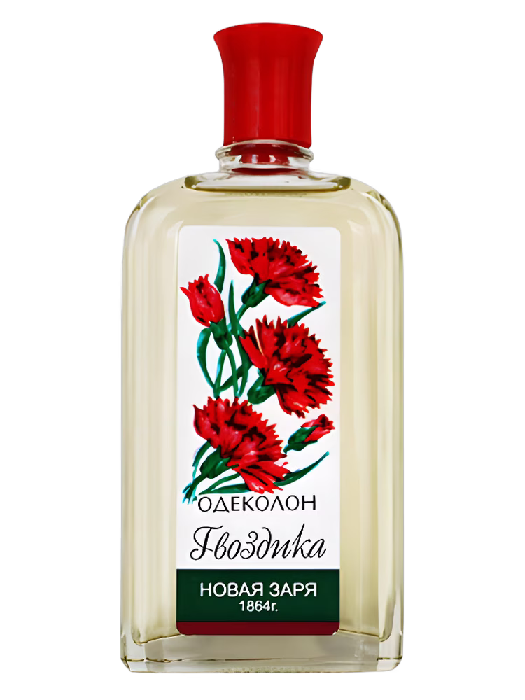 Новая Заря (The New Dawn) Гвоздика (Carnation)