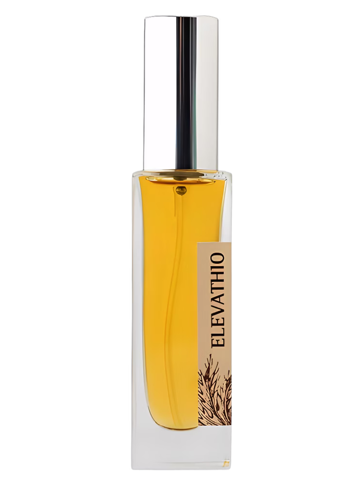 Olfattiva Elevathio