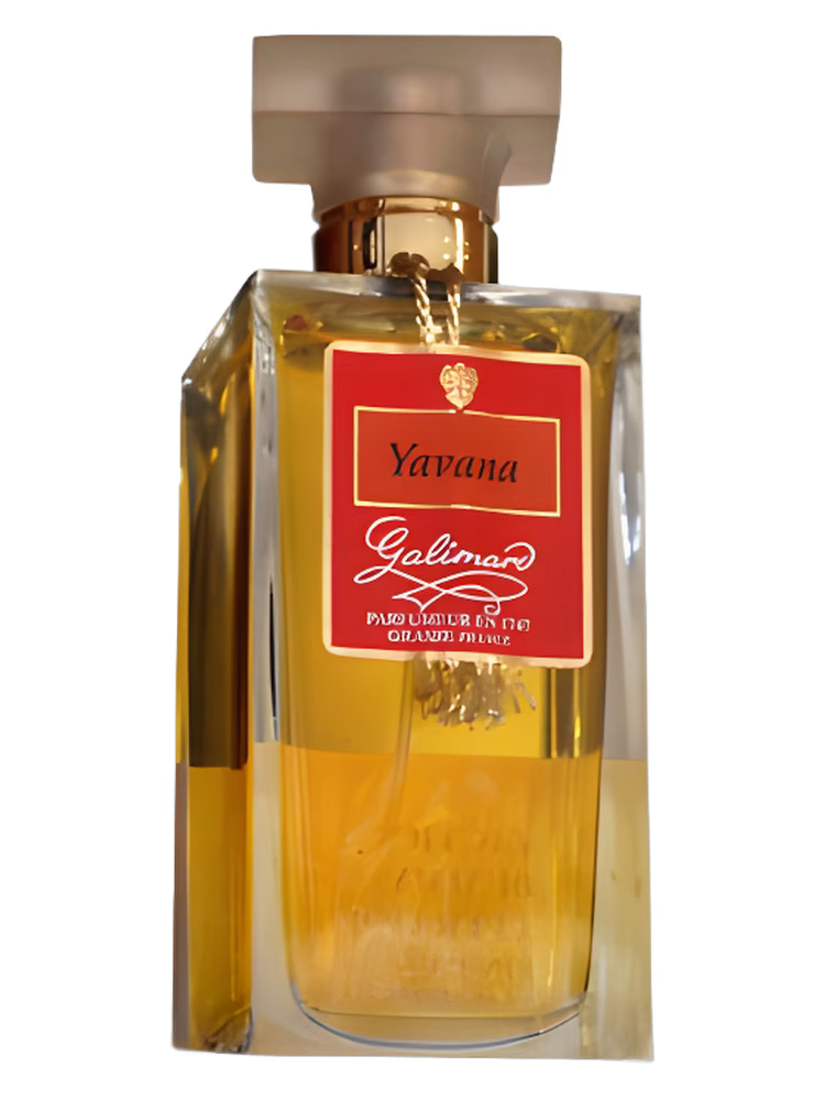 Galimard Yavana