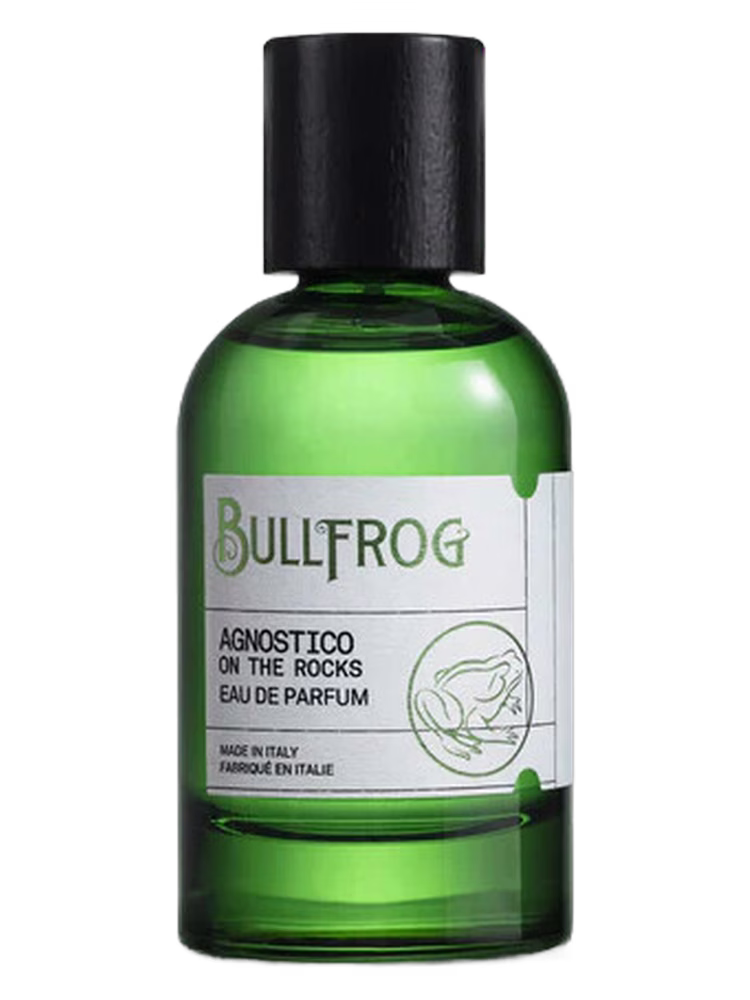 Bullfrog Agnostico On The Rocks