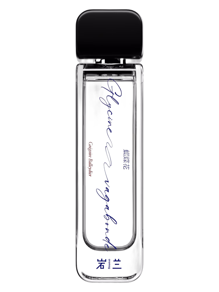 Aromag 岩兰 Glycine Vagabonde 蝴蝶花