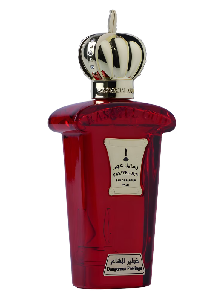 Rasayel Oud Dangerous Fellings