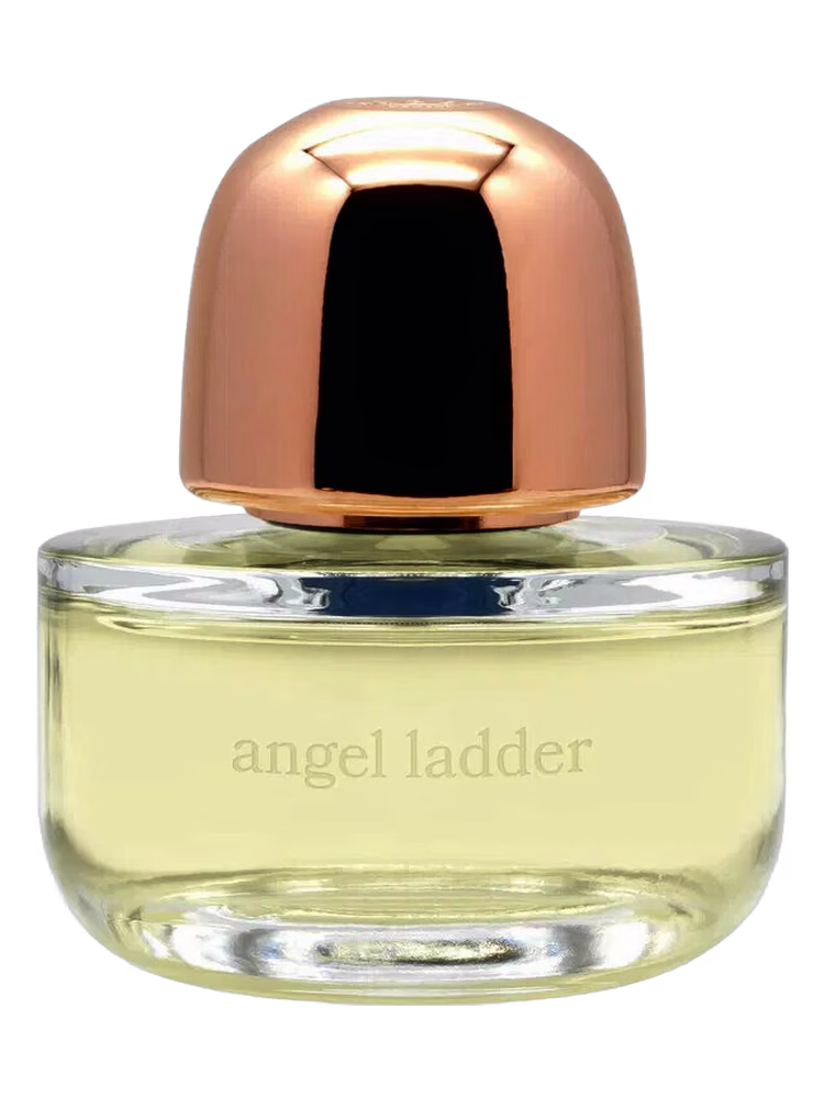 Kilesa Angel Ladder