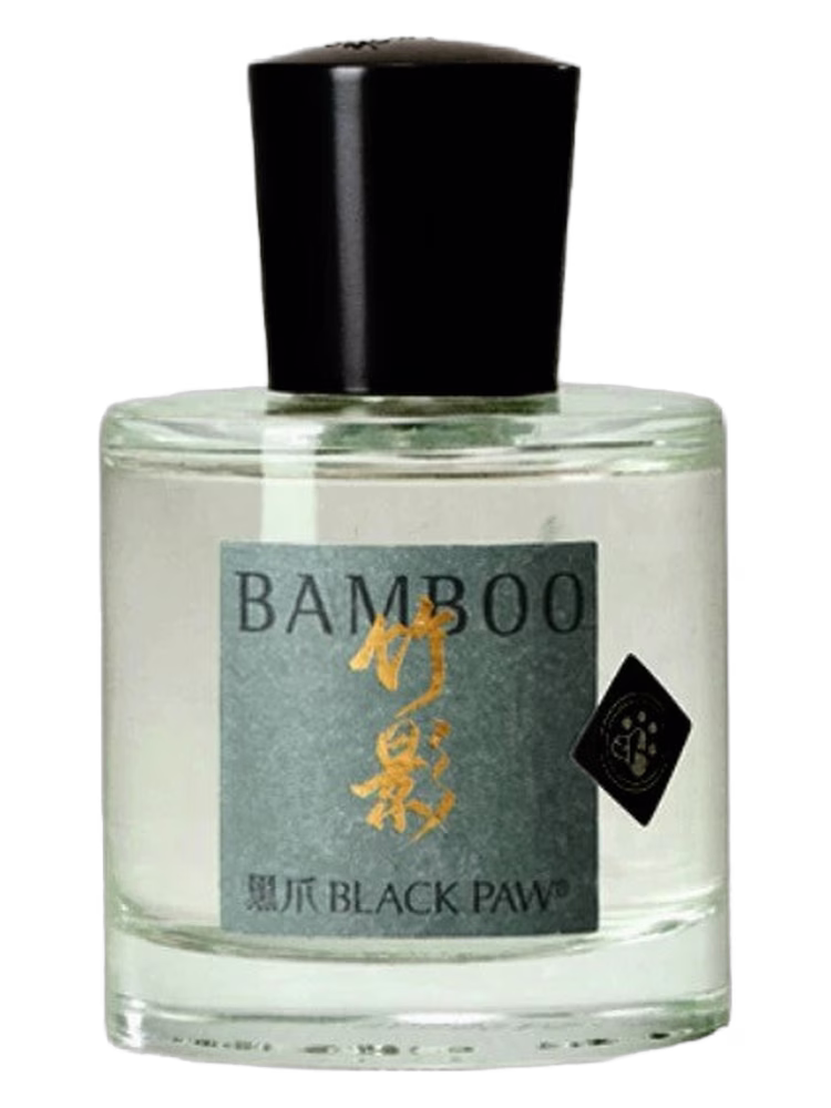Black Paw Bamboo 竹影