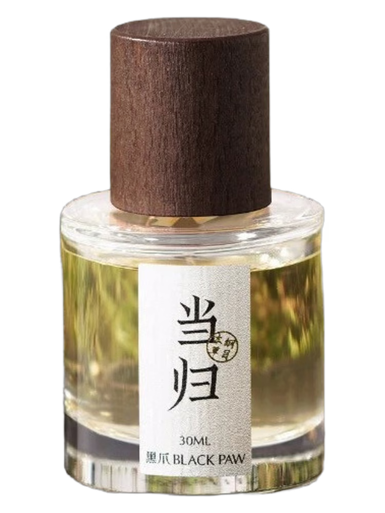 Black Paw Angelica 当归