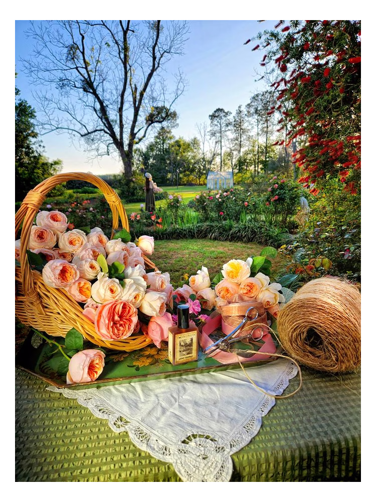 Solstice Scents Estate Rosarium