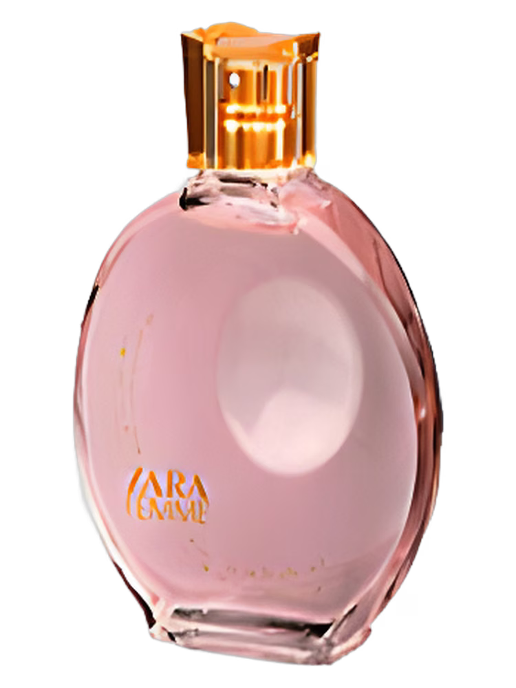 Zara Zara Femme 2006