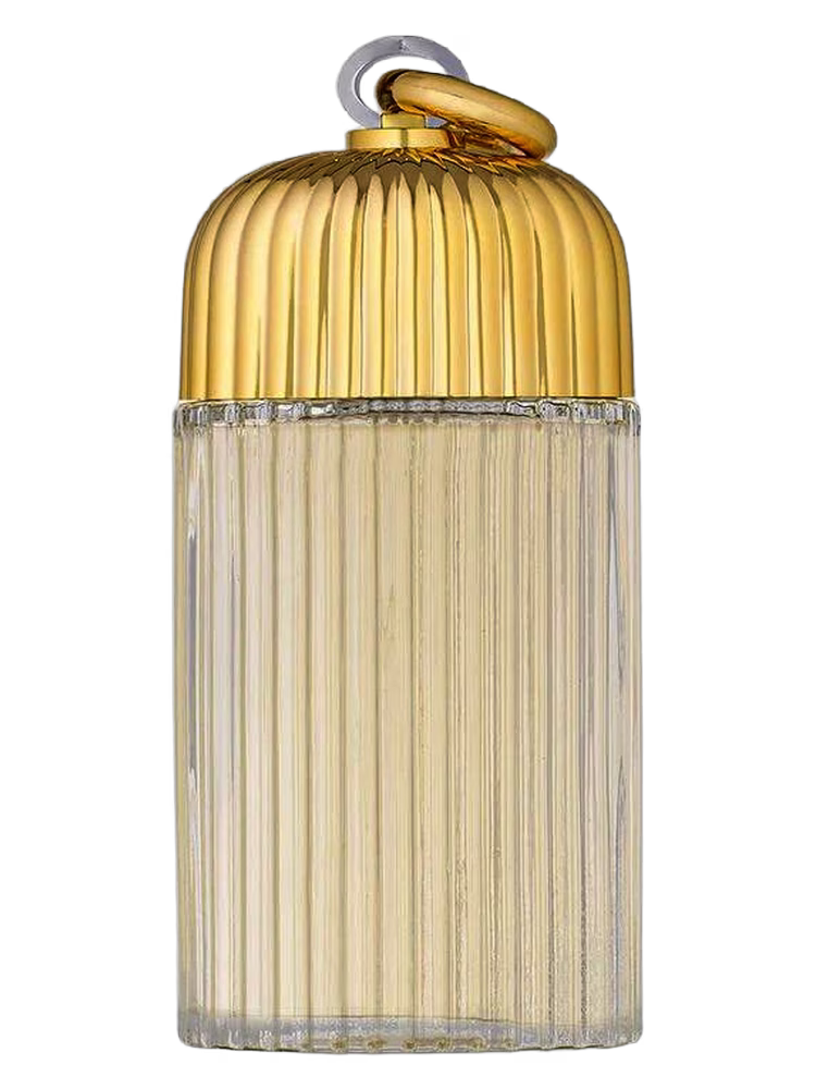 Cage Cage For Women