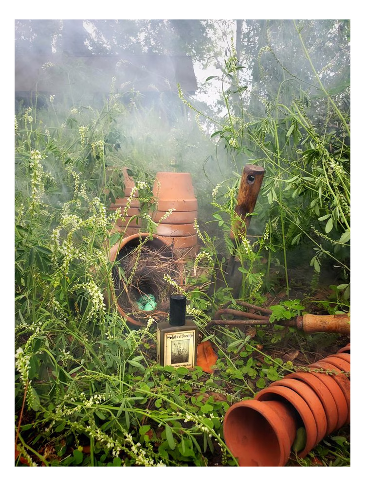 Solstice Scents Sweet Clover & Wood Smoke